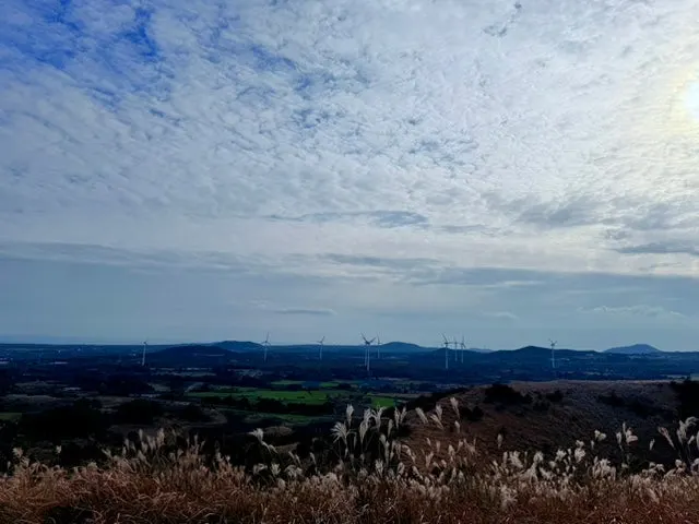 IMG_5655.jpg?type=w1600