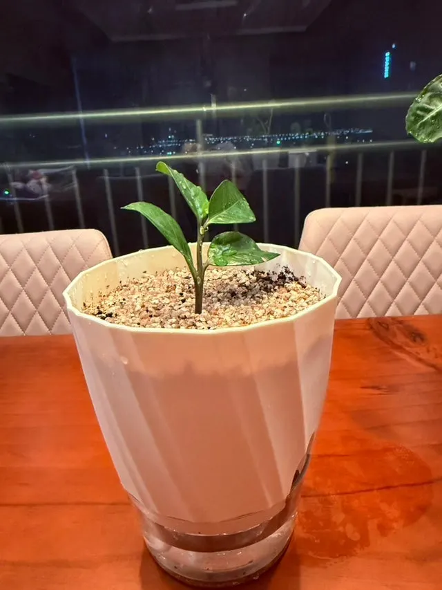 IMG_4515.jpg?type=w1600