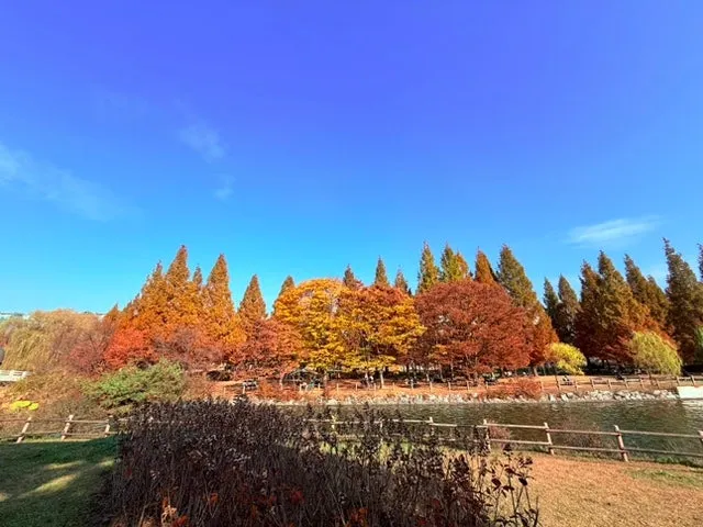 IMG_4172.jpg?type=w1600