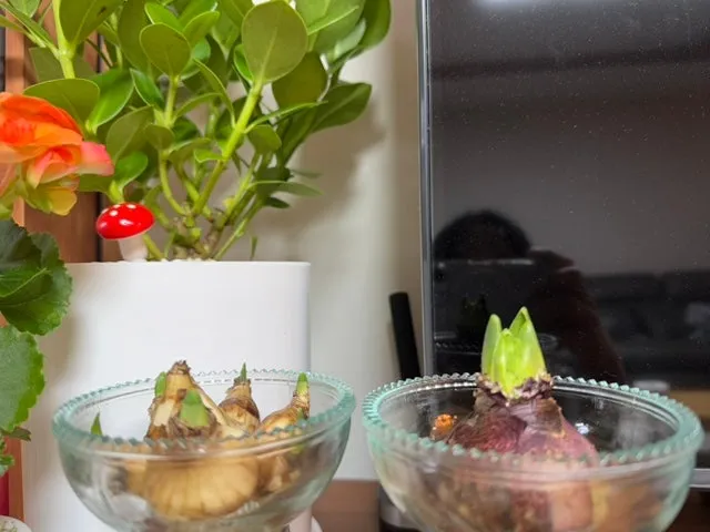 IMG_6404.jpg?type=w1600