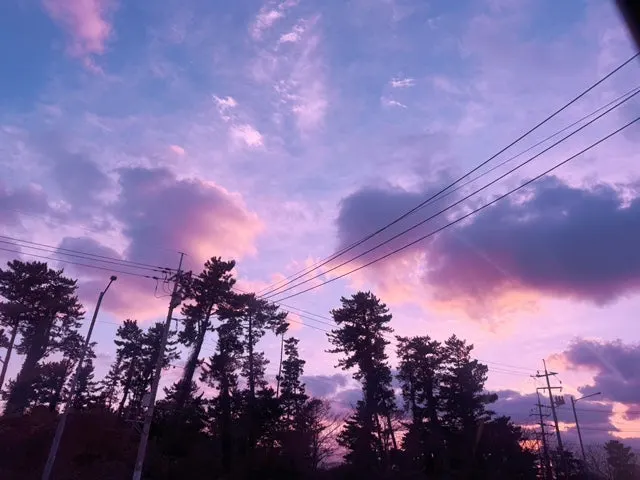 output_2923268498.jpg?type=w1600