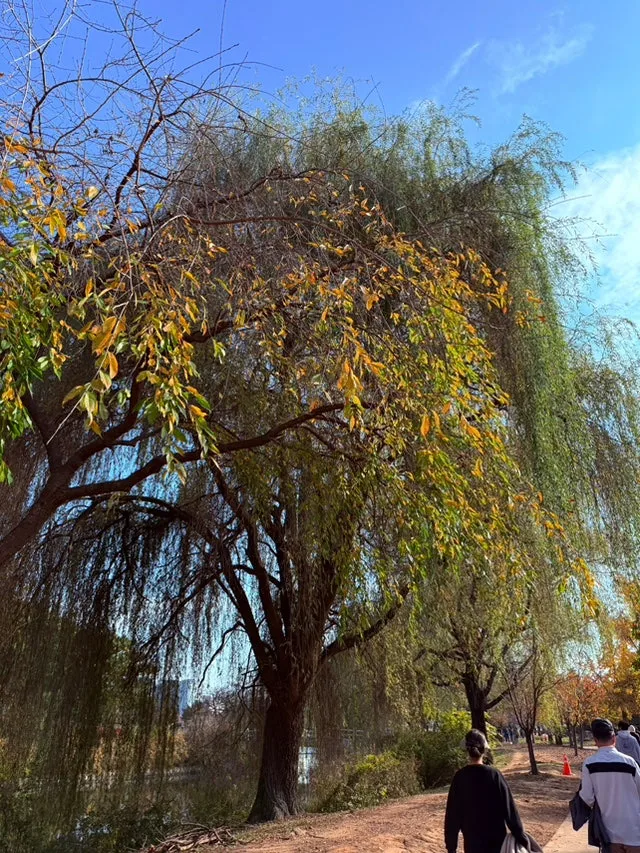 IMG_4167.jpg?type=w1600