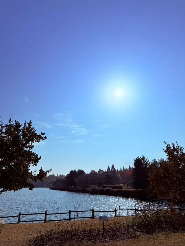 IMG_4173.jpg?type=w1600