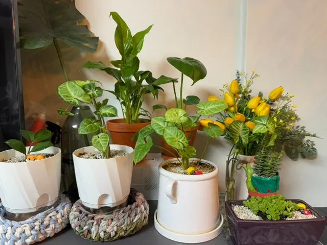 IMG_6406.jpg?type=w1600