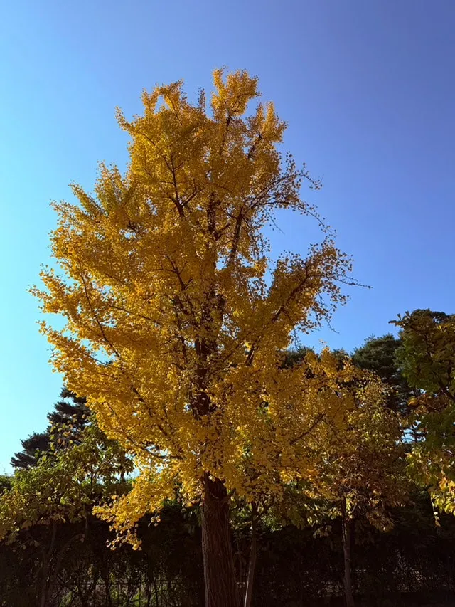 IMG_4175.jpg?type=w1600