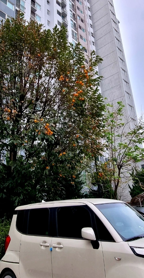 20241007%EF%BC%BF071502.jpg?type=w1600