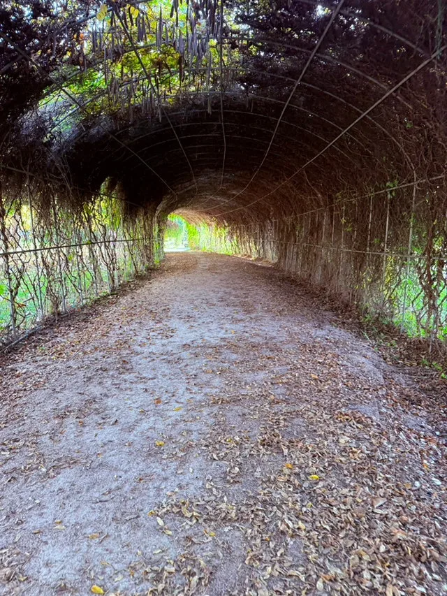 IMG_4168.jpg?type=w1600