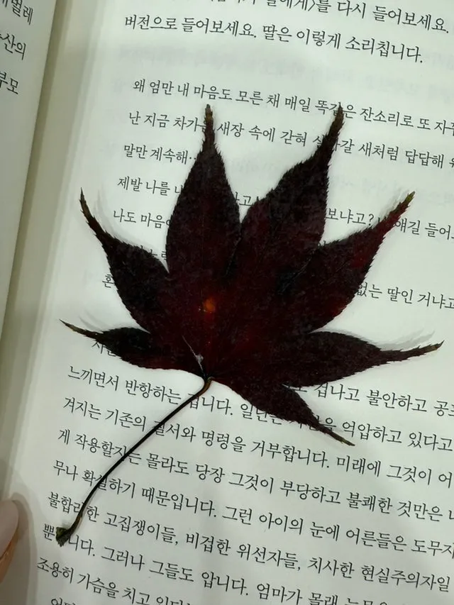 IMG_4268.jpg?type=w1600