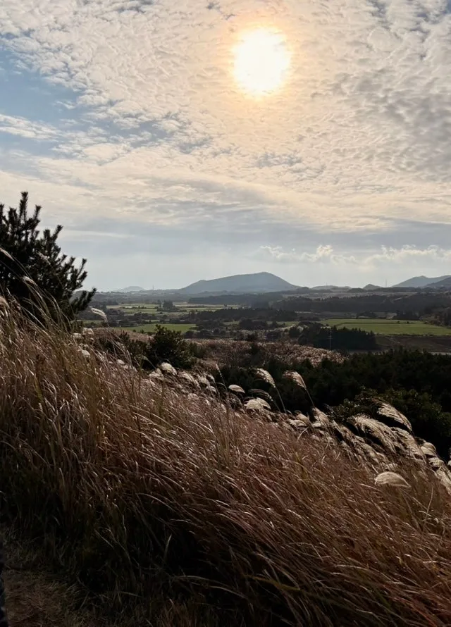 IMG_5673.jpg?type=w1600