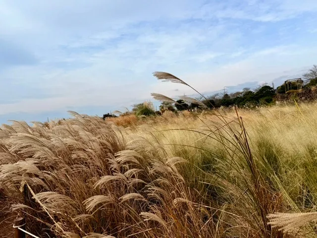 IMG_5505.jpg?type=w1600