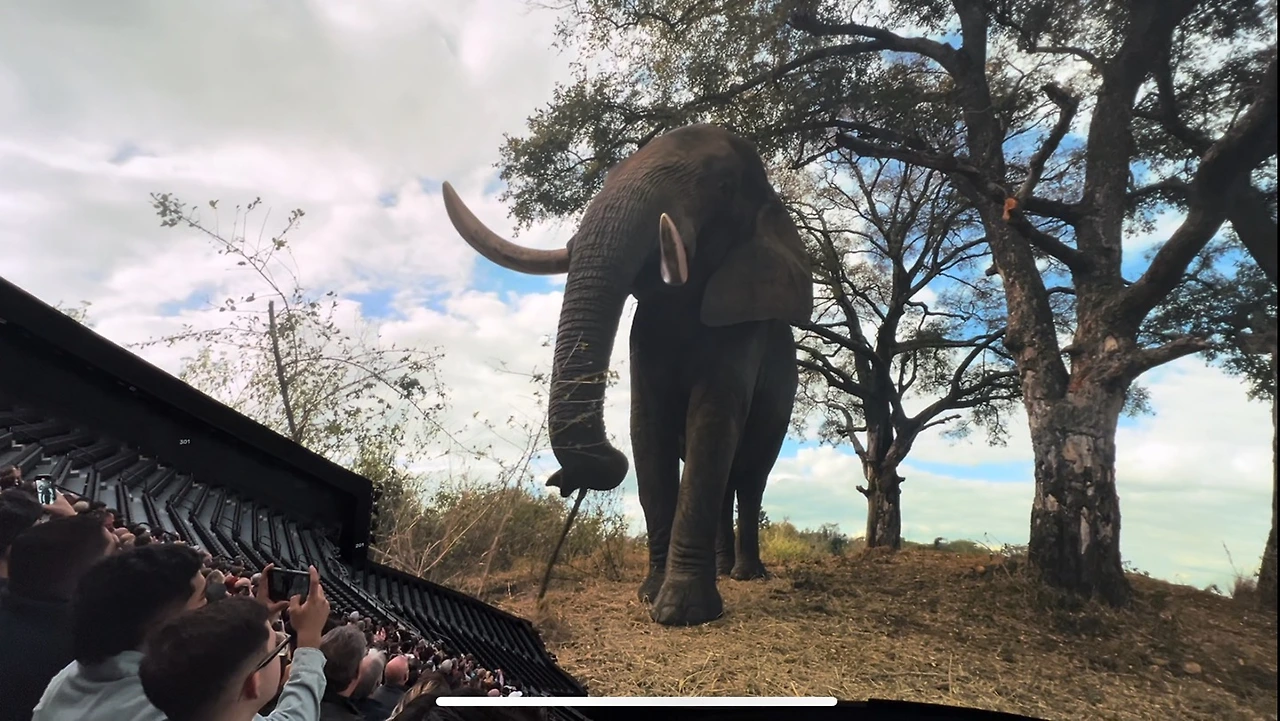 KakaoTalk_Photo_2023-11-26-17-04-48 001.jpeg