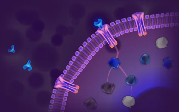 GettyImages-1017043584