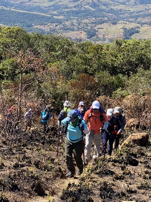 WhatsApp Image 2022-08-14 at 1.36.47 PM.jpeg