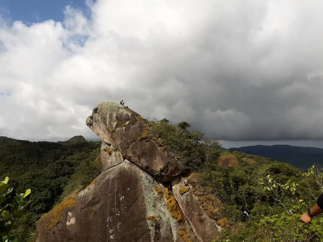 WhatsApp Image 2022-07-31 at 1.25.05 PM (4).jpeg