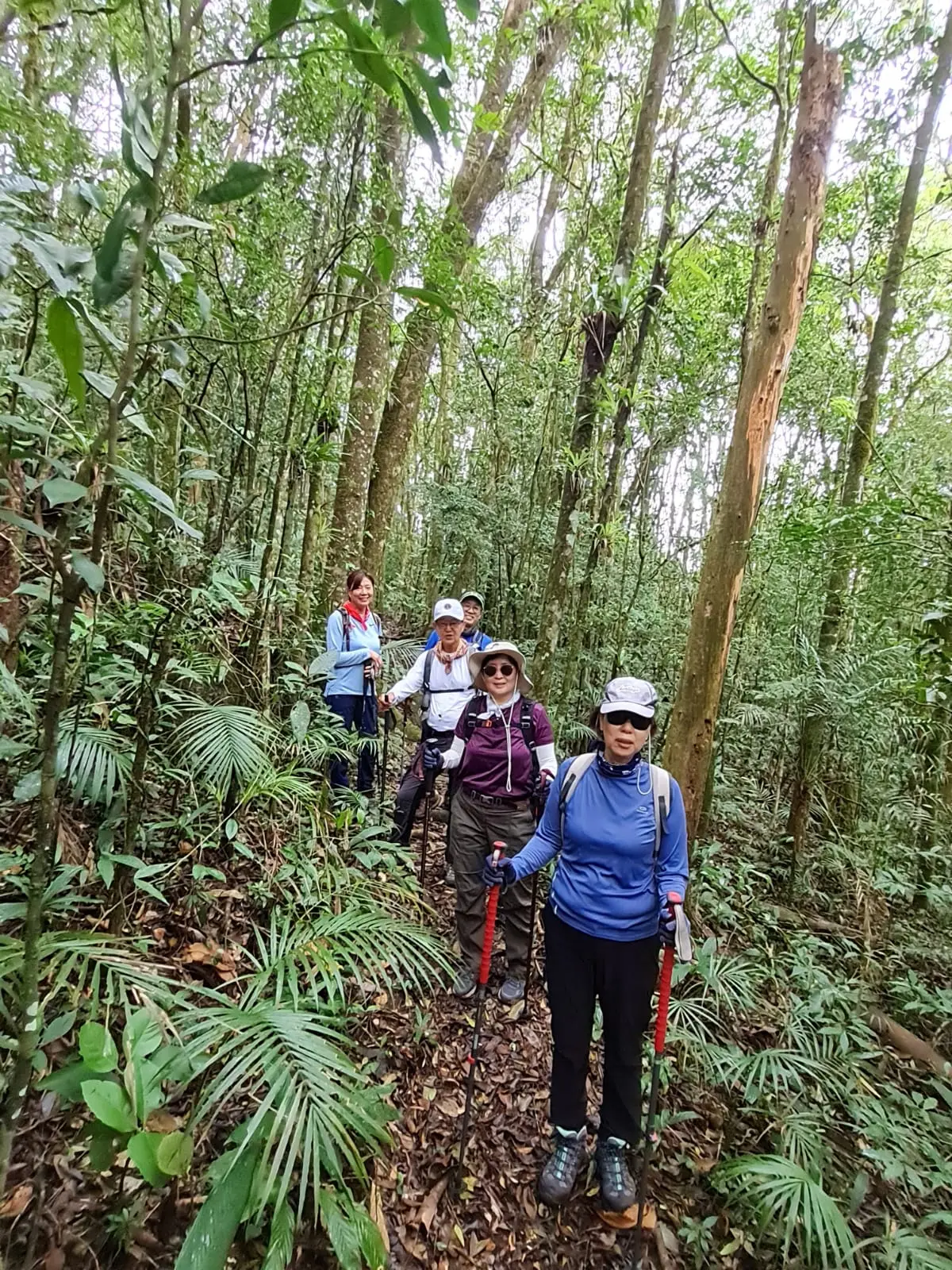 WhatsApp Image 2022-07-31 at 10.13.50 AM.jpeg