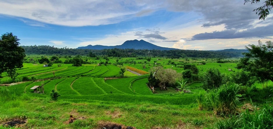 20200323_170242.jpg?type=w1