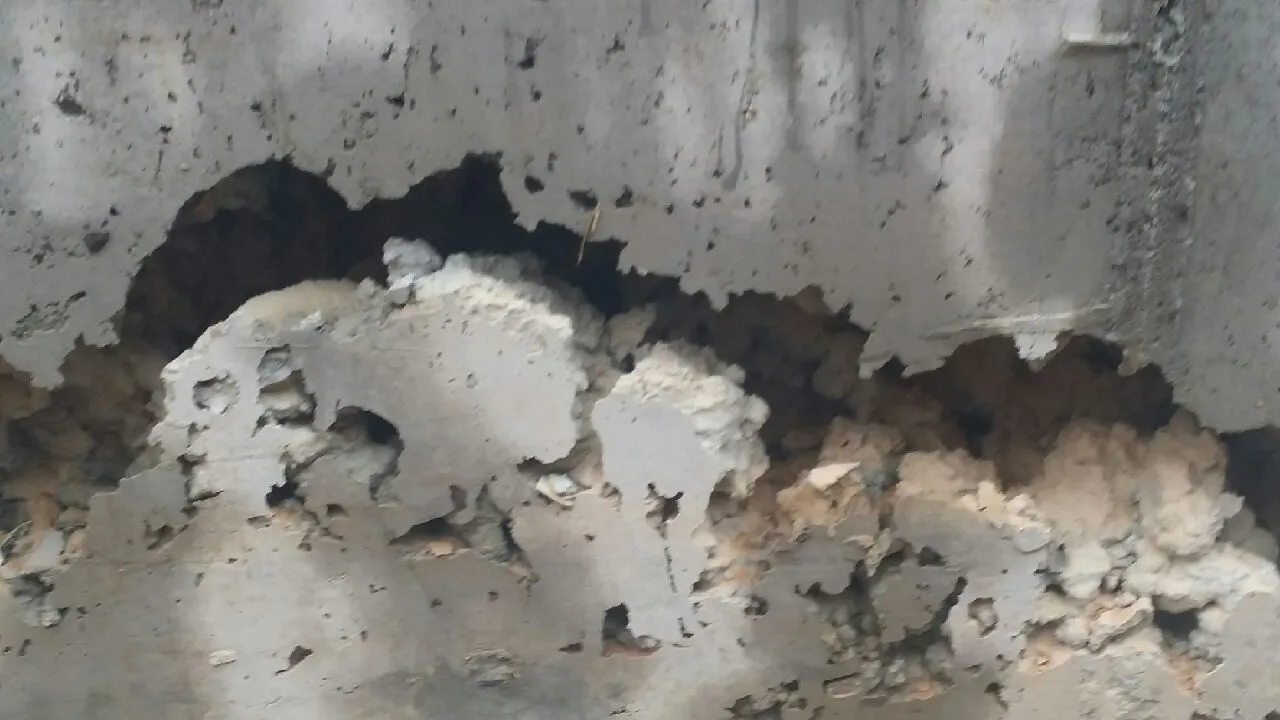 레미콘 곰보.jpeg