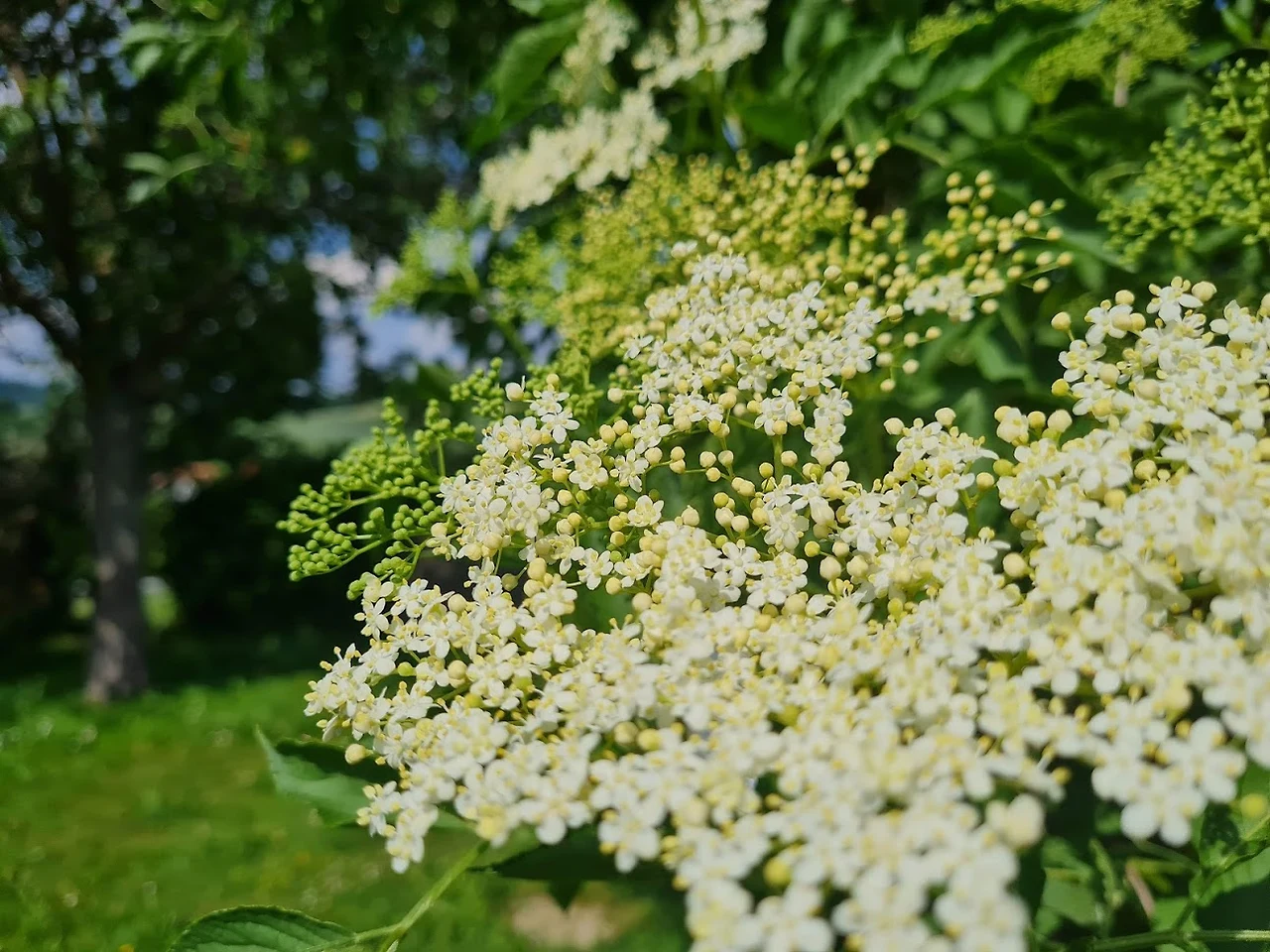 xhrVxZvHHO_K8M_6WHx8jh0sqHI5UoYIiz1mT8qZ3r-hTMNbeNYBQTNQP1A6vQUlp-8LNYvDKoEalc7NqSVSzrJ4_YBhmbDgMv661dRDZrhkC-OiWfTbI8v4QOrU32FvaQoG1ZJIQQRFNpH1u72C3rToIXQ6dmALJQfLruYk-gSDa4DamD8ABGytULAFDgVs-cmTdGnHGx-j41Jr9Jm1CWSQ6R7OPlaoWbUChme1QPGbKisOT3O2KS0s03Qq_TRzgcegSSqfwrj11cOsfqRQdMYB6unR3Ex0GYkw6YZrIqnarLJXNjL_Uko5wRMAA9NHtj6tnGHHJm0psvV2nOzFIrCTrn5sxmsCv3jr9HlkkfR21eiopBVryV-peKGWvJG7twAfUA23t8czzvMcfqEuHELFHRGO8L7WQYzEVa4rS1GWr6bCaQA-eqpjnwhix1JYYyg5pojabPnM_wfWluft5frXZ0bgURJyirj6tRjdD4unjj-PO2K4AgQk4tZAhf6YfRfmSr4aET2-0F_enyAYxSPl2_aQqhNAPhBHTHUZ8OQGPdSpk80h1u4qtCXH0WtO7pxnqneCa91_kT3BXZE-Ikd1nehaHEk08DxVoZO98rFKg-tWjOaQfKmAEqTQNi7h0nCcZR1yXBj0wIwR1M0EsbDGy9ogLxB8kZTaPo3Ny7dVYkXga6euwFzpK5wHIyqyYf4M7DeoEKeYFGBAr2Q3I5cv=w1292-h970-no?authuser=0