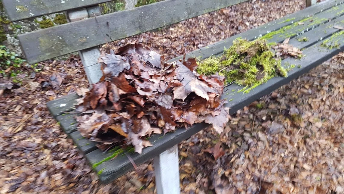 OzRbTI05F3TzxDnTwkryjXDoxZzJUPVL7bwGBHrztS3QQmnmPKJdGgJctLUtUhLu3Ped9XuG9aCMmm2t37gAsRUJuc6ROFHG5B_AIcfOh4gWTLCtBBYsL6CKCQRN_1vgJ3UV9i33kxFiRx3AkjMm-GF658DDLO4YiQ-DSd9jQv5g5RSQPI3oxkG9CFL3s3qorGZQB4SvdgkHQipzzWo8eaChdr8KKZdUBdP0UZinR-cxthCzK1jvVyNMRYORwWhf_fSSL0wlW20m-KdHw_A7USX7wktEpxqIypH193gvQQRUgUTNoKNVc76PK7L2ZDhmD36hJLewAoP4m8vxCBuvEo2mCnJ30Xpuv2JIp7D3l-_Xv40d2YdIXF--k1_QxGPYTTLrzwGDj1mpc0qvJ78Ybz071_tBmGt1byOUhbHuHjahq4GWvSDylwoYuvF0Vq5BPTsyUUEv9Dg0LTGiL218C8da7nNUcbdYBDpTKMH7_tDBPmKgM6Lwgx5c20ir367IBjvwI0LKQlg12wtILYos-u4RHJFxiEDdwlo629E9q692DF15NWFBhQ3EkTasNe1Wlm_tQD3vvr3CkWJsrwEU5JcXSlgpQ3x_xYrqGGrwkHmKW4eJtNd_2yIR_Z2YBMEIohHjDZ9ER_FqIpzAb2FzFyRJVtbVhjDW2J9t8DsMW4oS37mKA14NTPg42AiJ9Q=w1144-h644-no?authuser=0