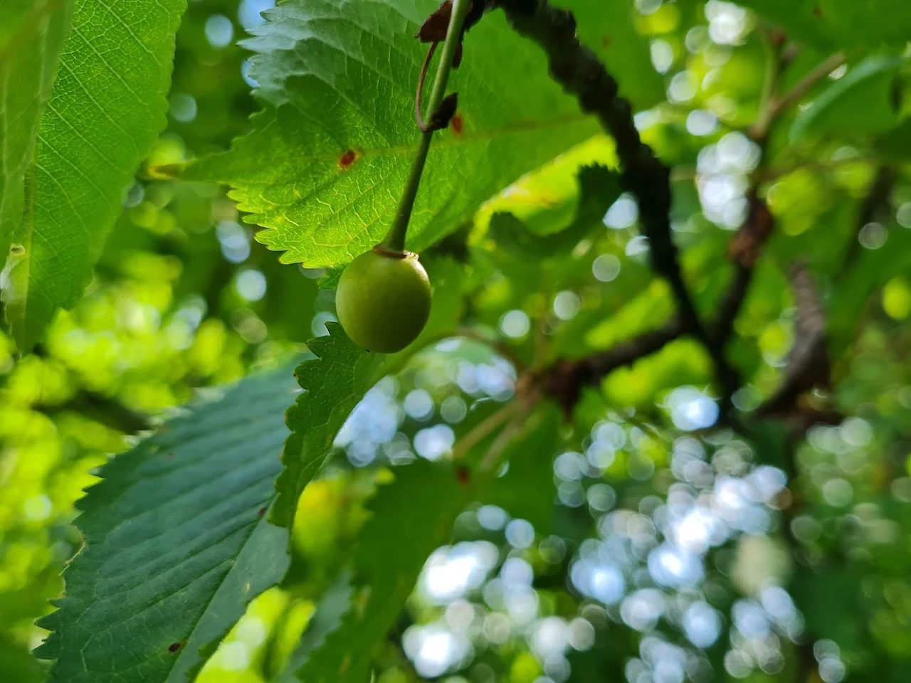 TwHq7G64czWmGtmJTI5QW4g0nR04twolvmkfa2SxBOlHIHkKDmsq-weKtwv6nnLCzyo4jDx3PrN1JOy7oEauzQF0c3-bd24dt_MPXh2J7E7jHRXJ07dr-DM76GkB-bBJGYY77Phw1n8xn9MUq5xalhnU0BpnpYmmhfyEh_7_nBSQhB-xFwXgno7c6o8317Rpne07SofYMXkvn1r9OUlLD01upn6EI3oYv4WtC5LG39Sod7jUL_4YBeexSfFDjZMxkkIRNLMX6Ii6S7vztVvmk_gbLFN2cjXjg3HMrWIx-MaPdJIQwH38aNjTCaOqQjwPHi9ir8wvir14uqT4RwELCarozH3WHojj2OMBN-vGT_7ISG9REK88vprBfKmtpSgQwcw8r_4VJHwdfuiyselgXP3ihhKkscVkgCAUTmM2d5z17GcKwaDvNnLmWxrLEZ9FWGzLwgcQkDAU4d4DWKOzbN7Aoy8E0T2zp_80EregXgVd_06pLLyQU5LXHZEzJ8k9T_Zc73kJSw4GSUQy8lSat1vpngCVP60s0eopnQds2olnAsPfMyPFPk3pOLXwSiH86qpKJ1_dYhotM6CsOgyWXPTmjh8h6vnzJvN5XsQ59RqPcJ9iLAQfCqs02pXi9la7-UZwx9Dyw5WAw80CBK7DjY2-QFmxOuflLRmXF6Oo7eW343wj1iV67FsLLCwpdqH-8gktNfVDLiMckQgm6TB5lSXs=w1292-h970-no?authuser=0