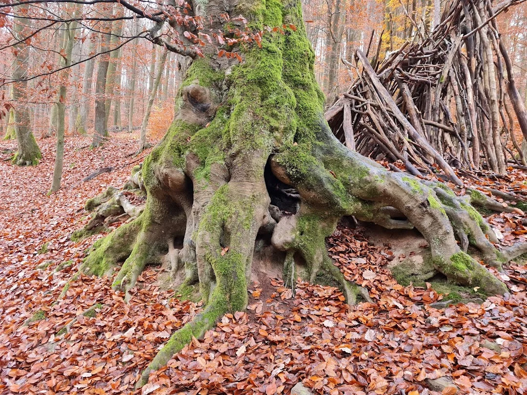 s-GUSqicfxnfnbOlqikflnUta48Cq78Tfxw_onVrpV8J4goEWvYCFgs2tuIpJzTQYhWp_JT2KxX1y1N68srfSPiGKNsLBAqzh2L3qO3NbS-c9xav0bS6wF_2AkMK5ilmQAM4tNO42-u9X4LbNCKnevCS0F-a_E1p_iohCn7SalhUeXrBtfvcySlBqDS6SzKHeqTBH-p5oI9sTCp1nm_pjuutJ4Y-qzX1qyNy7bd7oX4pbRo2NqJxUDCs4nRkV2wSQRj_0PCpXEHLcV3yFnruP6VVpUvKekgInVIGgCxCO2bQAsJ8HIinrh35RTubimxysuoxkCRGrCYTusybfKmplFK4ga3pFwRQzM9pnl7mzj_jnrue6hVKbfDrf06EbJGyxCEPNqfGVSOgsHvLtsweBduFB0vOAHnELxIPDBbUoUY5v_iCOzn9ImZwmokqaFWu3ONoellt0sddq4-mPv6HvCz_SXmrB-Lpy5ln1m1YdH-YMmb-JDUeWATRPfVhNNyCh6abkToBMYrZOveHd9tMr1JpEeeTFV3X5mGBV1lISvZS1YDa-2Pa1OqtGQbXkBHdumiEhaNi1MX3chKxpTcYIa_ytXTmo6EbVBJTm5Sjm94QtRIFLKiwStQcEuUOMEabNNEdO7tTZMFUicmZOOymIHPgnk9A5aHFsXFTb2A8Glp8RXm7eaSqj94crvzrtGjxk_bQsvFqanVZ1-4FaIA7mtGK=w1080-h810-no?authuser=0