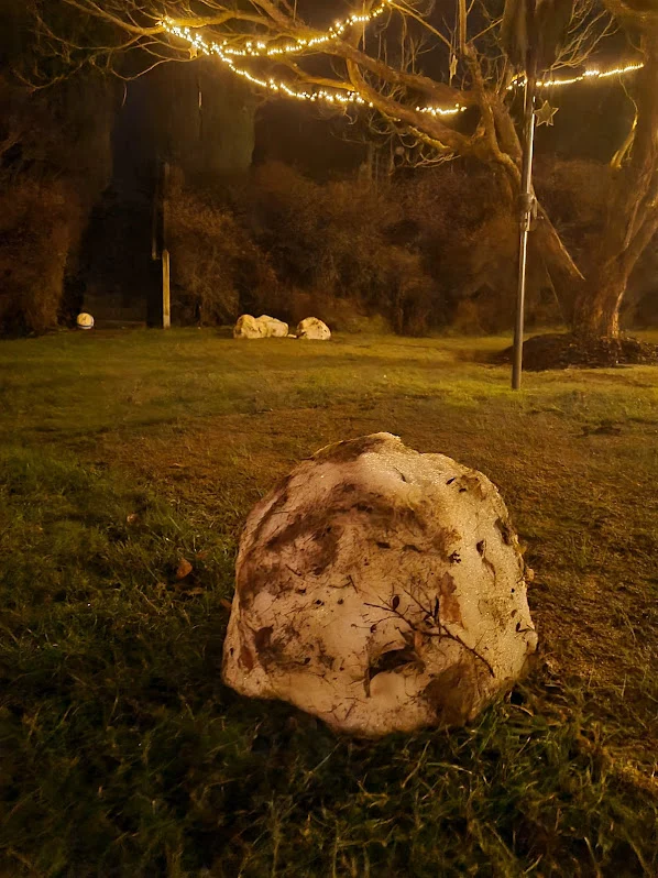 x1GFZRrN-X90A0k8ASyO4ct3DEtvYd4B086b9zNzisTAWkfxBD4vCGOsusnGDSB6GBijPzgMZCYnsOMf8h5oDwiqx-JakSk7460sXHV2ap6tnAAQ8eLoa1BbB5wUjn9AOAAQ00-XcqlQDgZl5cX481aH9QbCg_NSLMDWCXtUBjAyiUphR4imyM1I3Cp_QNmFBrvNrp__51iEhadJRupSeHp1k21WbrQGBtN3ViQBEsqa4XHmH7YaK55HaQbqEWENPdo6L6kPIbYaGnHQSItiK5dkEzFiNWSx13kgz8xwF8JCdplnmRLU7mg-82TXs5jSPE0gHTAvEg1iEOdb22vSzKmzKd82liItCAkQ0UaAwQ0eTvLTGVwaQk3pr_i3SYUZpV2bCiN62jylwd8Iu0wlK4wcnPm2iuAtMhBFC5sZ5Bylw3plq_trYeZYw2geOG0SzKf64qr-gqJIEvxU3QR95mpr889mpk5pTNq4C-sxZm1CewMhiake-EtgQk1y-q1j65RmK0YdI-TdtTQes6Qx-Ly48BMe0wUpYr6XabT4fqHkIgLUN6o33I7kHNxHicQuZDIEfINLSLfWILpiHlGPZk35PjI62UfQsdb0OGH9XvoFHK25nqhgYNZFMhhMoA0Iwc34xrNMODqblMclscILcmKii8VjI-C5-_giE-nrTRIAHwuuXEUJXVi_Fw4AYdePb_y07M5I01cclXf3d_vy5K8bWw=w599-h798-no?authuser=0