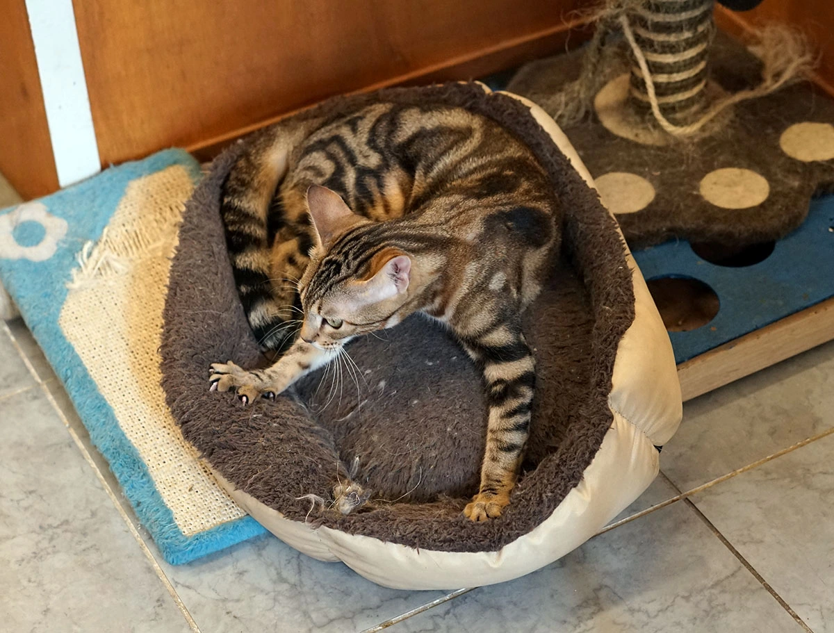 ?fname=http%3A%2F%2Ft1.daumcdn.net%2Fbrunch%2Fservice%2Fuser%2F7CS%2Fimage%2FiEBWvWFIfIwCkanB7-Sb9YB44IM