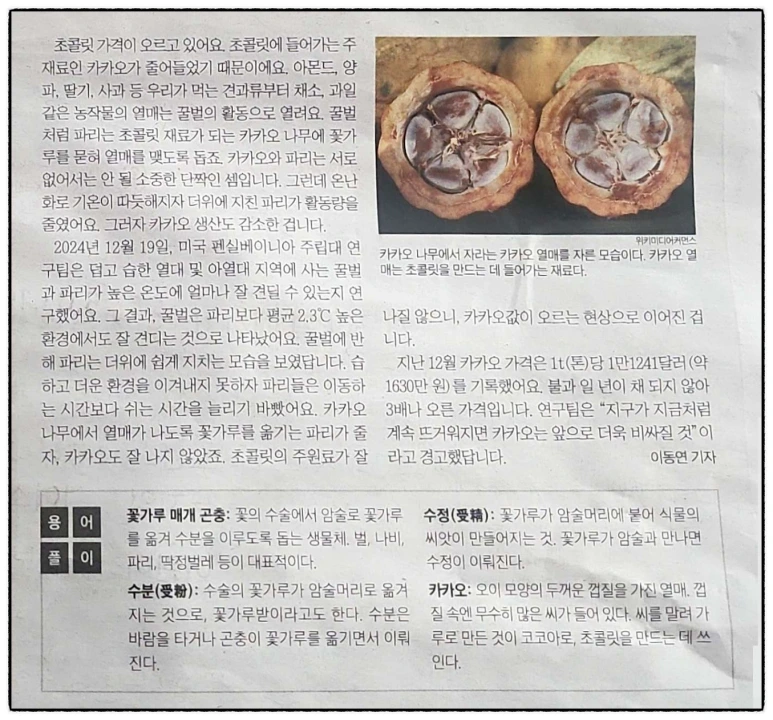 SE-9e54dea7-09c7-41b5-a701-96df29ff97f8.png?type=w773