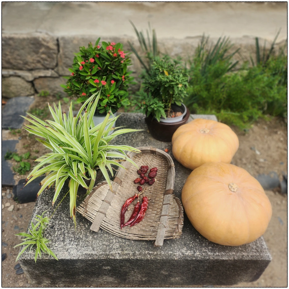 SE-db54c24d-343b-49ab-ab8c-071eed277df6.png?type=w1