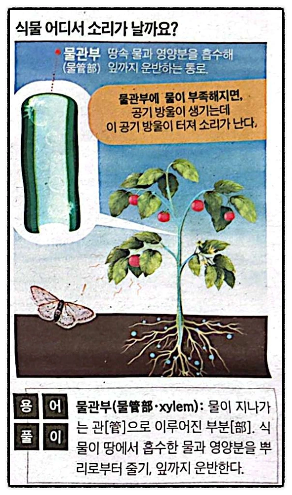 SE-d6ba9d36-f53d-468c-90a1-3b38fc71248a.png?type=w1