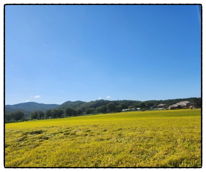 SE-24b158a2-dbc0-11ee-ae0b-c7b001c59bba.jpg?type=w1