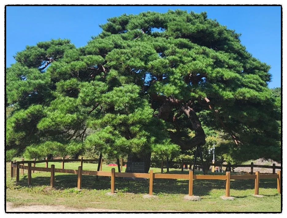 SE-ab2f7d40-db40-11ee-a90c-2f21570e4ef6.jpg?type=w1