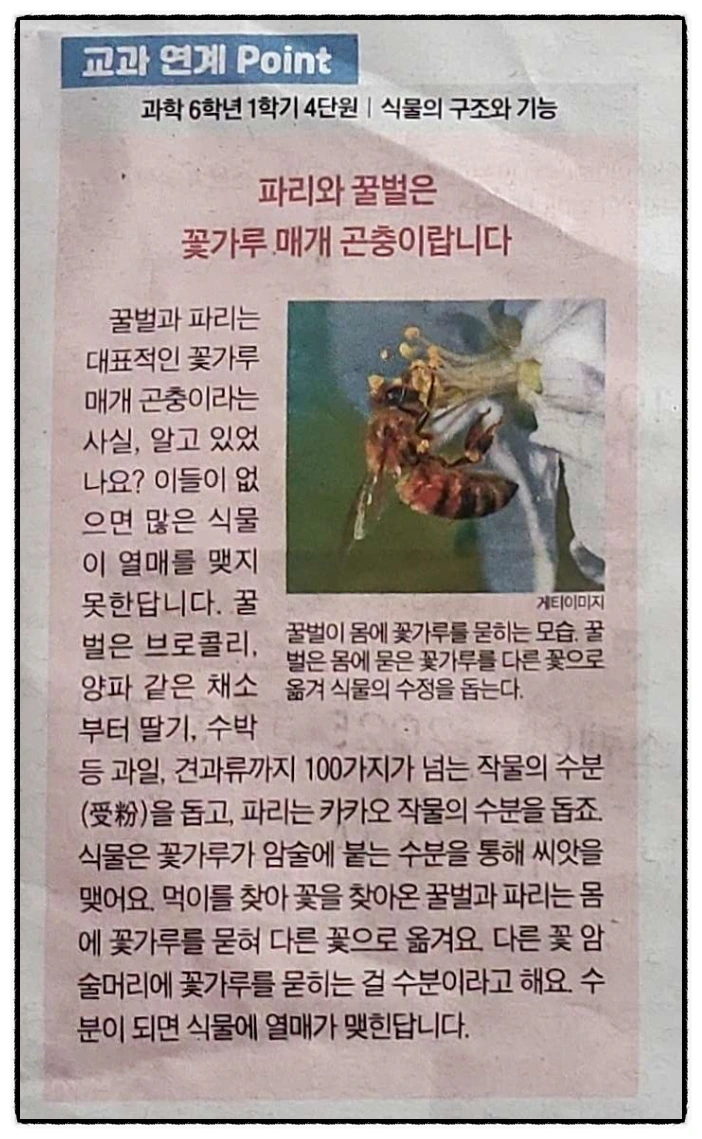 SE-6d3438e7-7ce8-456c-b360-5480152c5f9b.png?type=w773