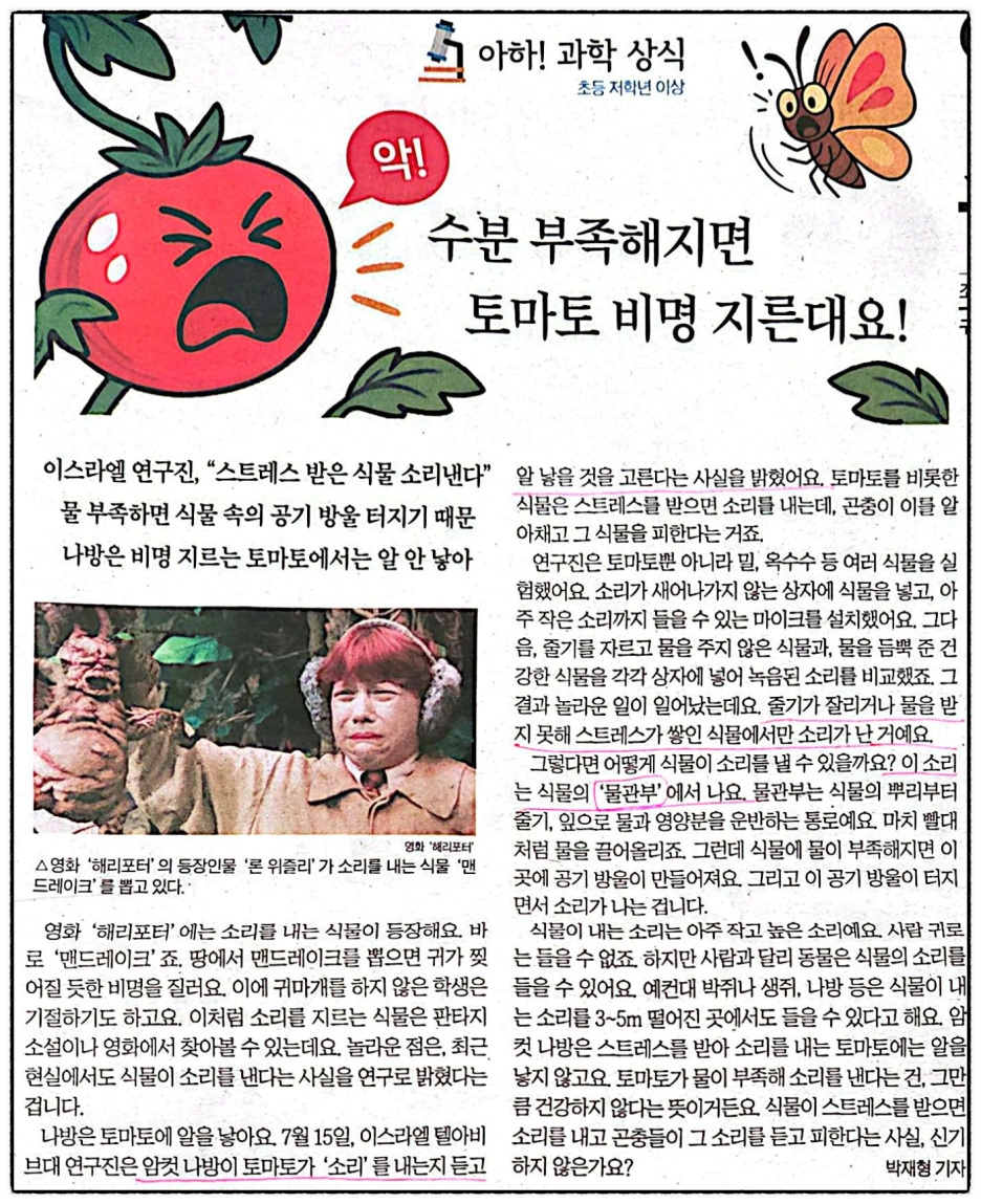 SE-4e0d84df-f5a3-4bbc-87db-5f331cd12914.png?type=w1