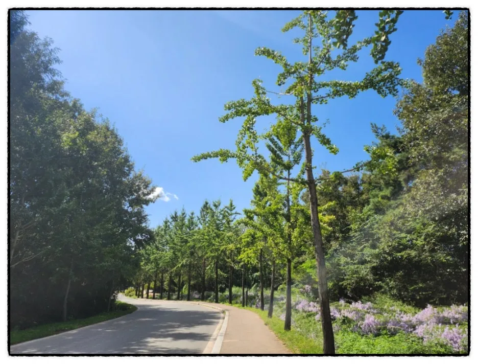 SE-d9ad11b0-33c9-46eb-aba2-05eae3a01231.jpg?type=w1