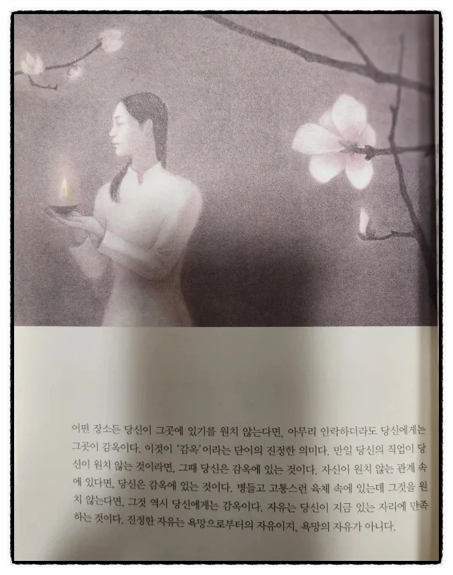 SE-c5aefd4f-e036-11ef-be9d-851ae16b653b.jpg?type=w1