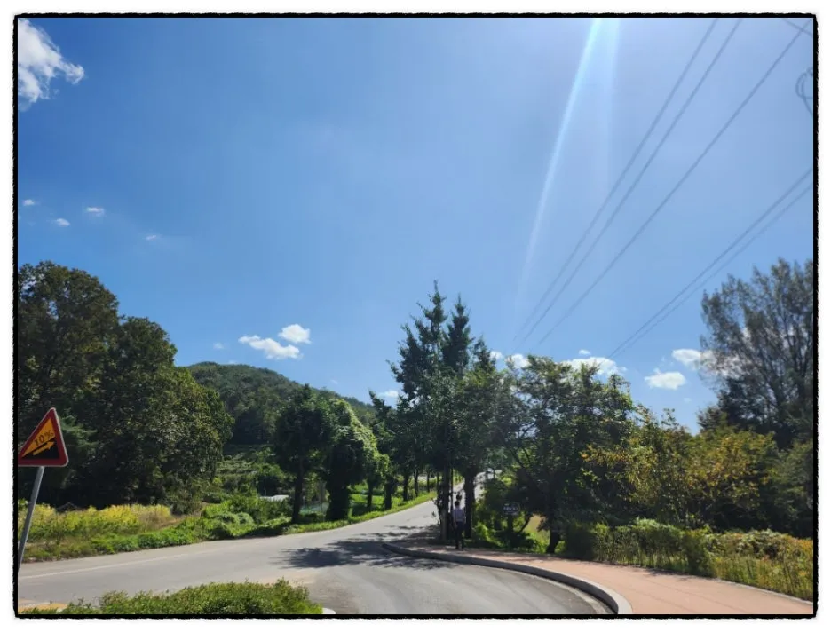 SE-ee490790-5319-4b76-bfe4-605aaba7f686.jpg?type=w1