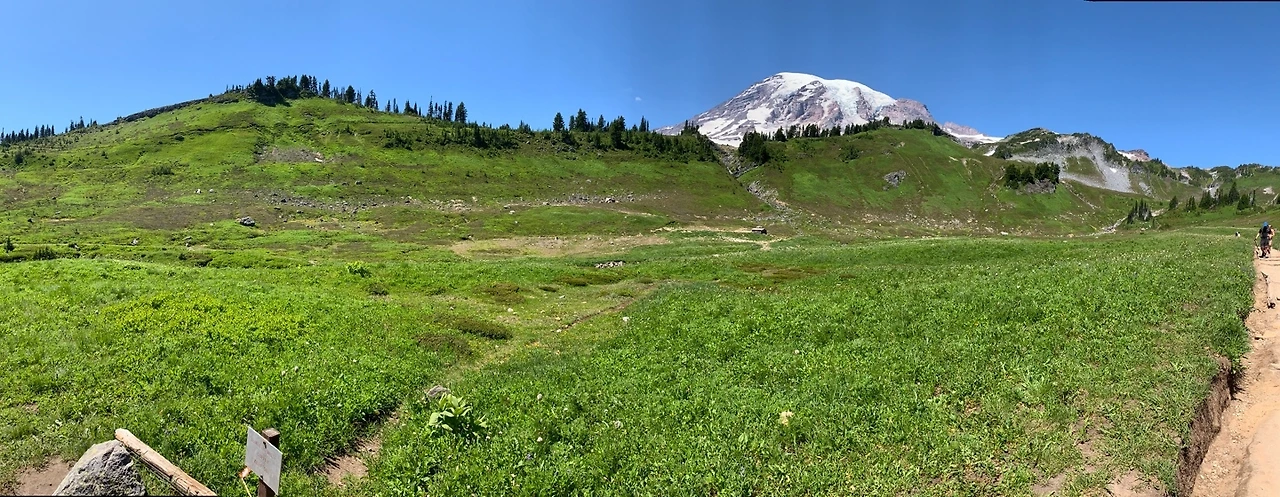rainier1.jpeg