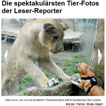 %BA%B0%B3%AD_%C0%DA%BC%D2%BC%AD_5.jpg?type=w2