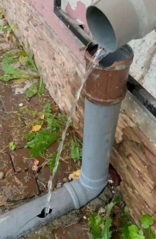 %EB%8B%A4%EC%9A%B4%EB%A1%9C%EB%93%9C_(2).jpeg?type=w1