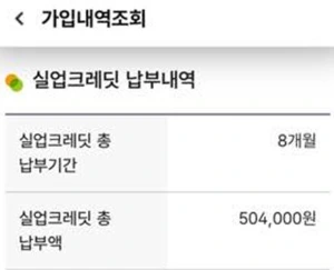 실업크레딧 납부 내역.JPG