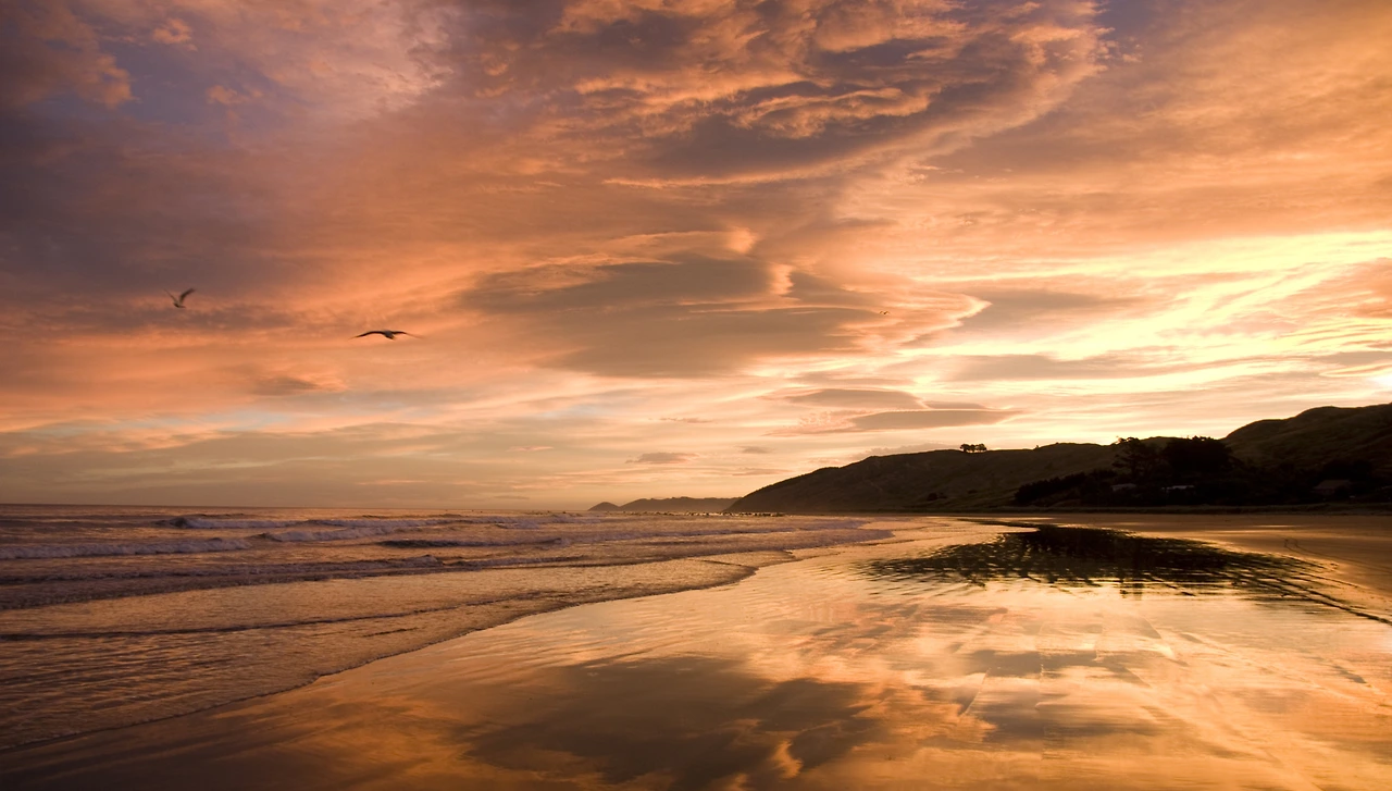 Savee-Sea-2-Support-Image.jpg?format=2500w