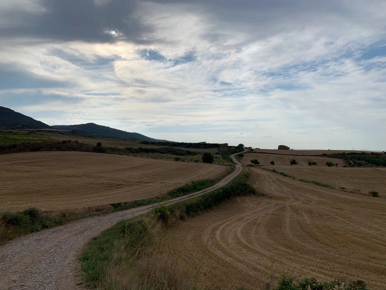 KakaoTalk_Photo_2021-08-03-18-33-21 001.jpeg