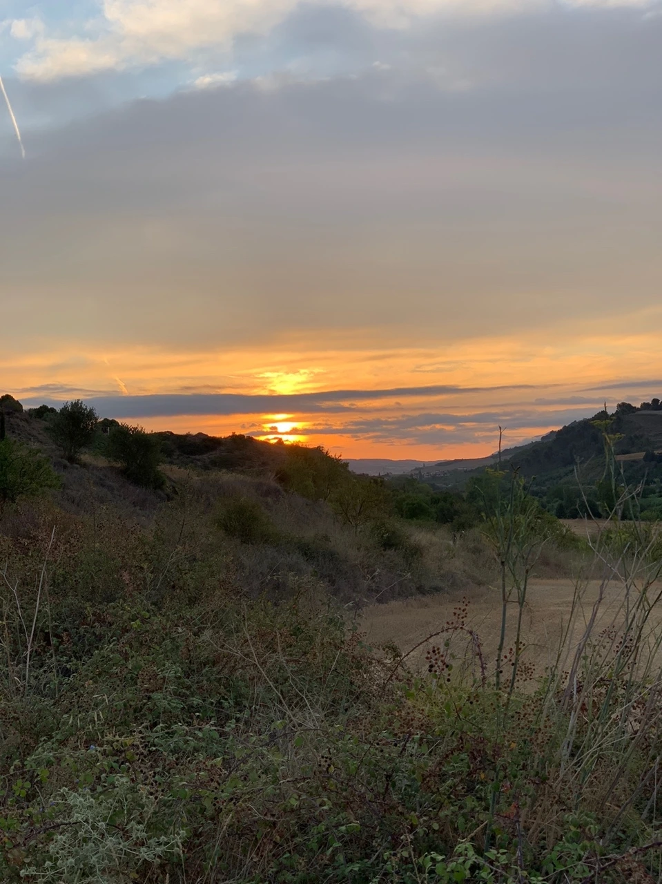 KakaoTalk_Photo_2021-08-03-18-33-25 002.jpeg