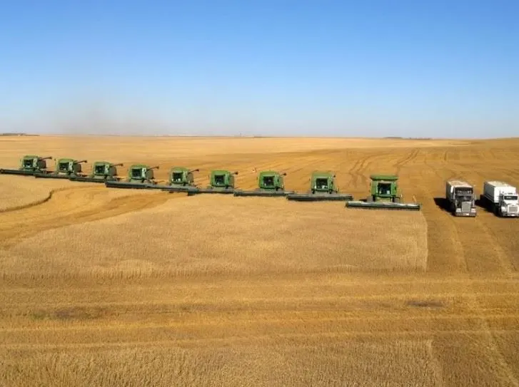 미국의 밀 농장.JPG