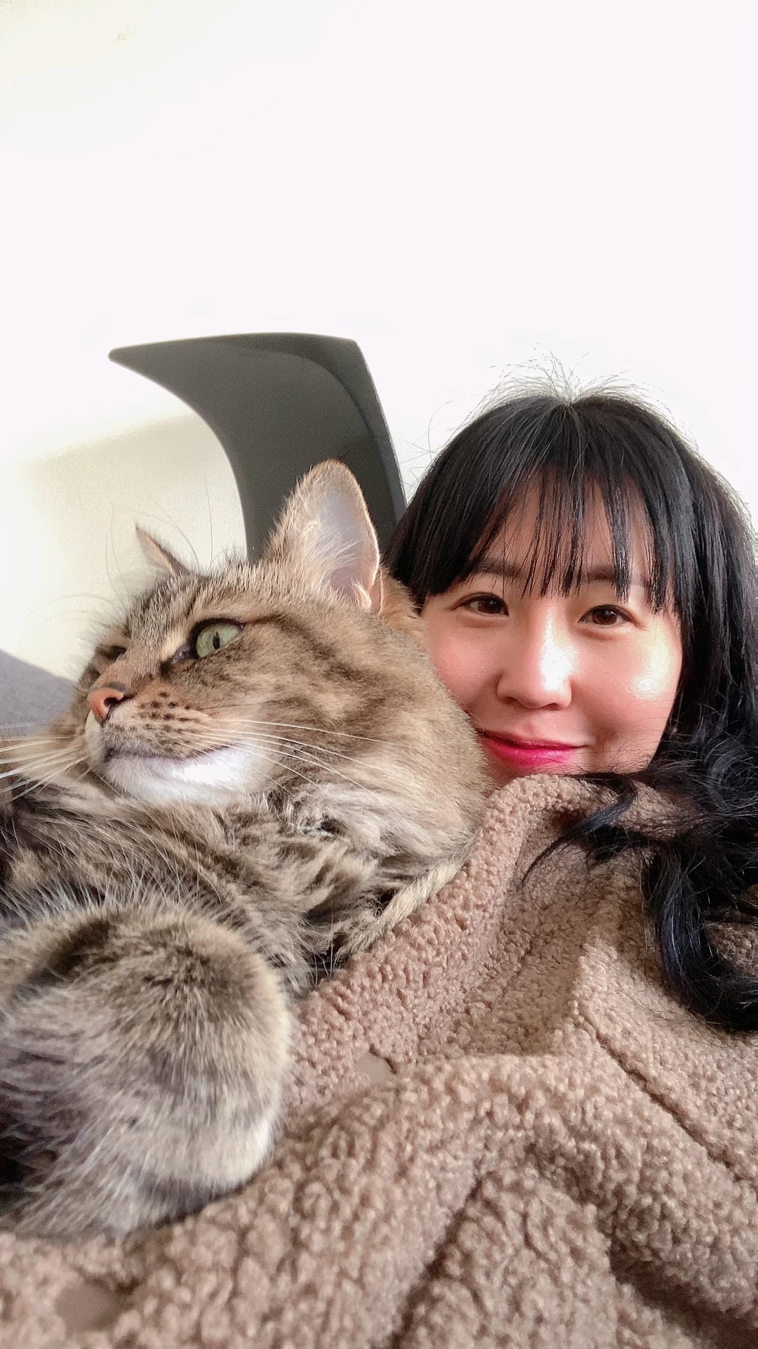 완벽한 행복.HEIC