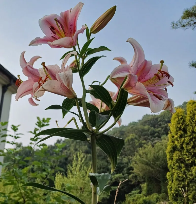 KakaoTalk_20240726_223814138_05.jpg?type=w773