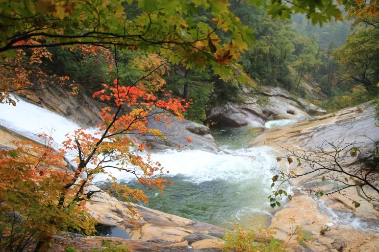 KakaoTalk_20251019_084701103_08.jpg?type=w773