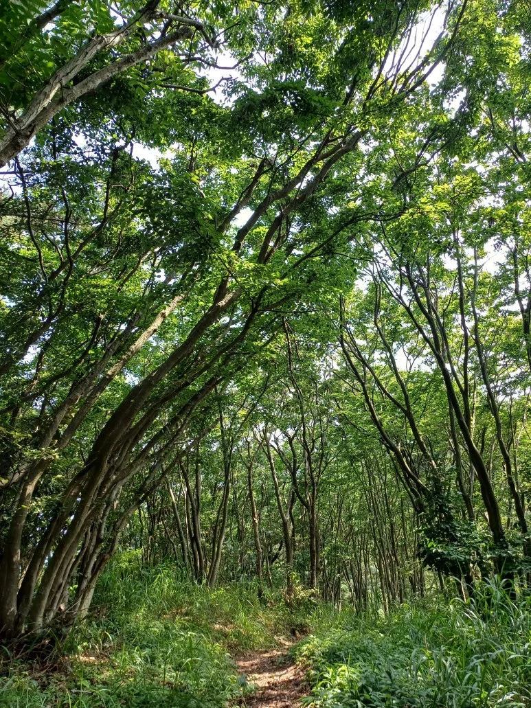 KakaoTalk_20240720_232630092.jpg?type=w773