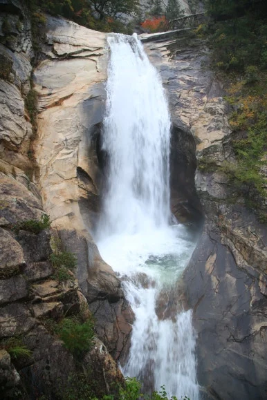 KakaoTalk_20251019_084701103_11.jpg?type=w386